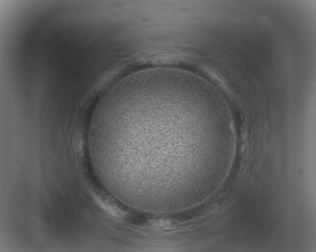 X0000082990687200702081835