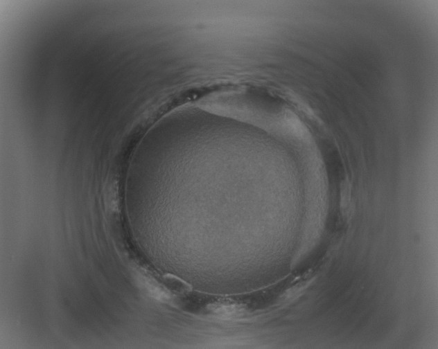 X0000082990689200702081835