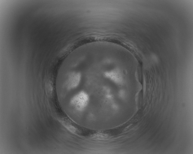 X0000082990691200702081835