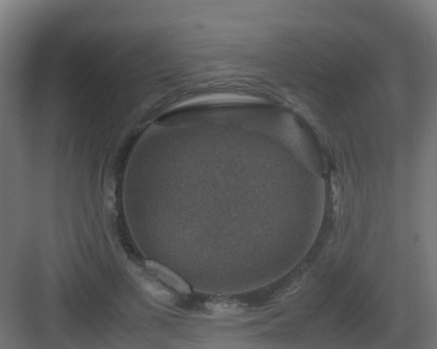 X0000082990693200702081835