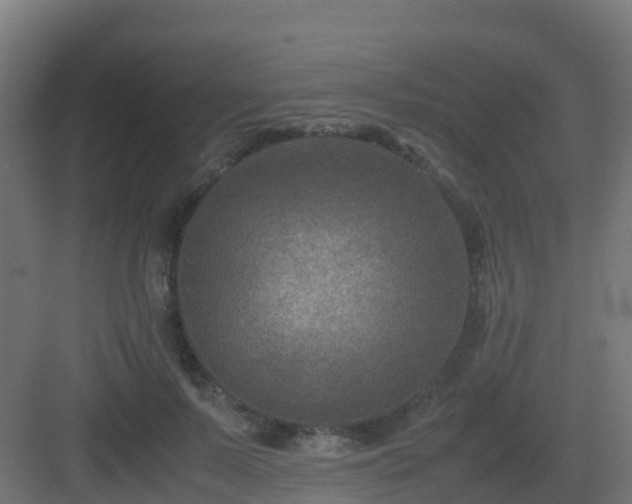 X0000082990695200702081835