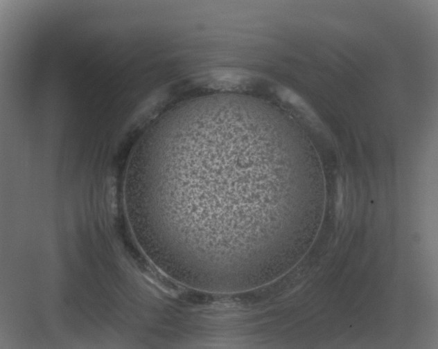 X0000082990696200702081835