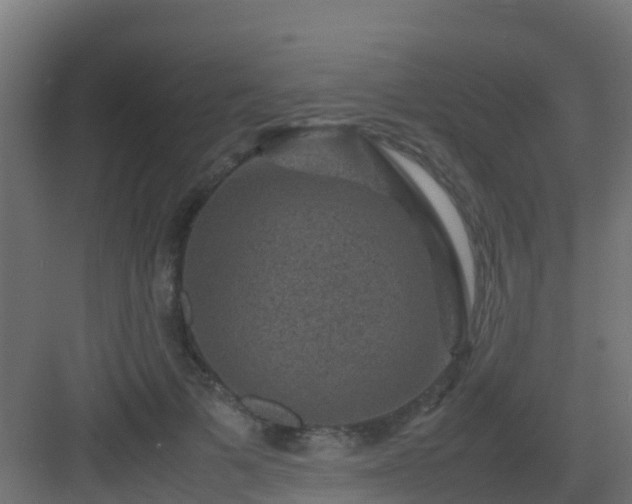 X0000082990697200702081835