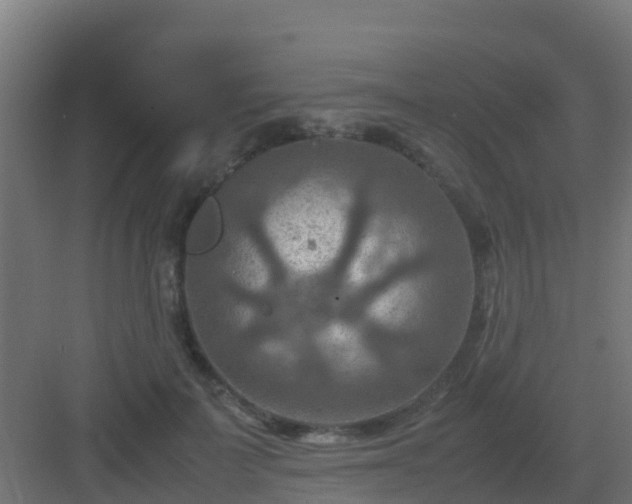 X0000082990699200702081835