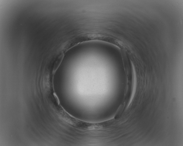 X0000082990700200702081835