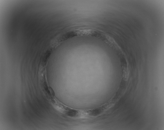 X0000082990701200702081835