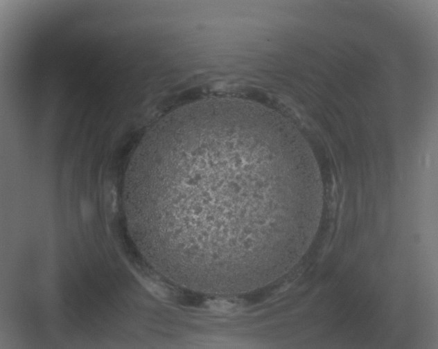 X0000082990703200702081835