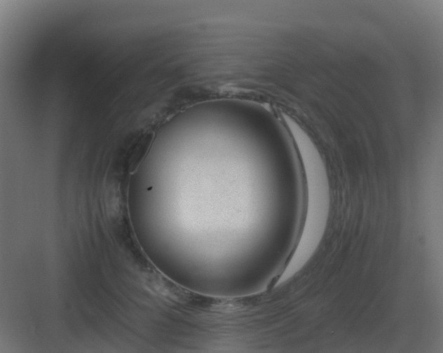 X0000082990704200702081834