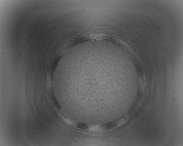 X0000082990705200702081834