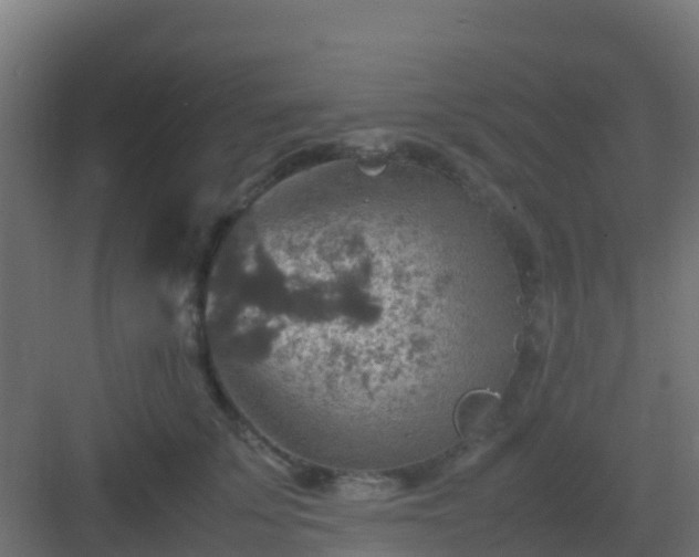 X0000082990707200702081834