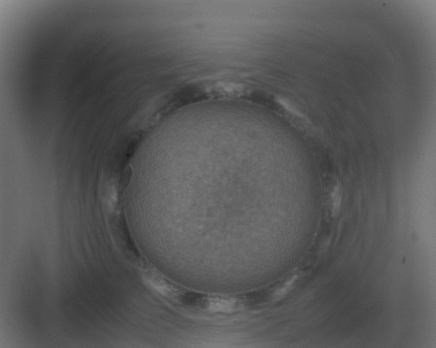 X0000082990709200702081834