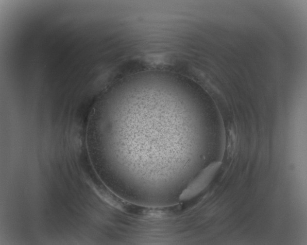 X0000082990710200702081834