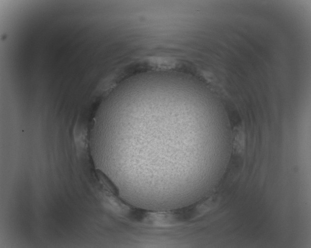 X0000082990713200702081834