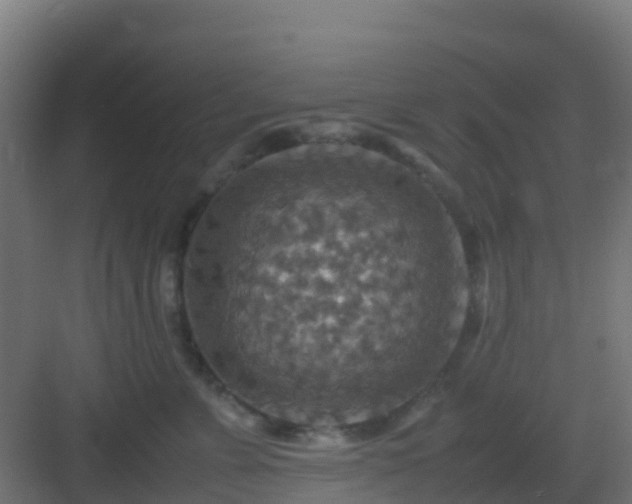 X0000082990715200702081834