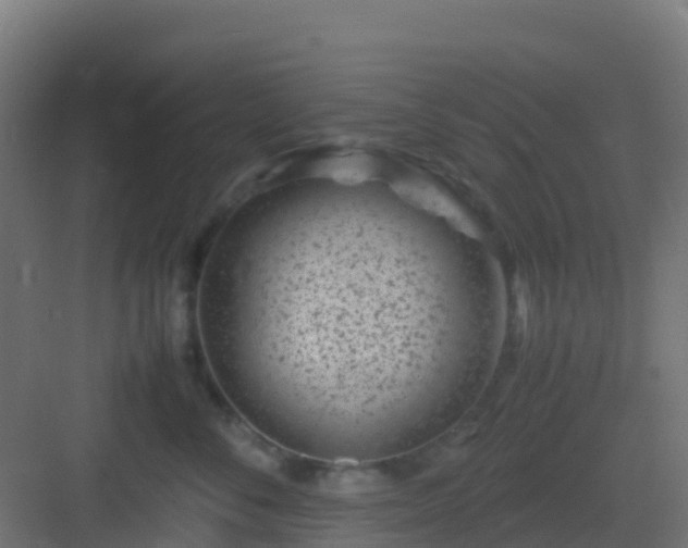 X0000082990716200702081834