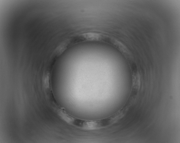 X0000082990717200702081834