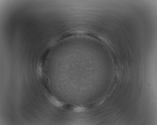 X0000082990718200702081834