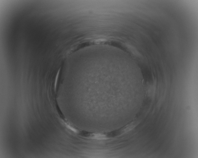 X0000082990719200702081834