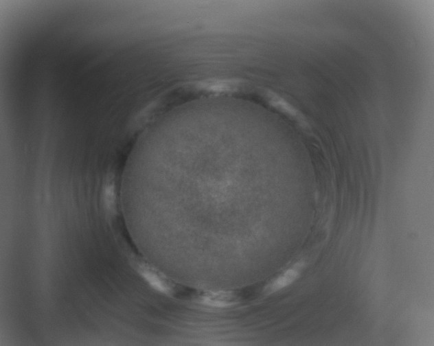 X0000082990720200702081834