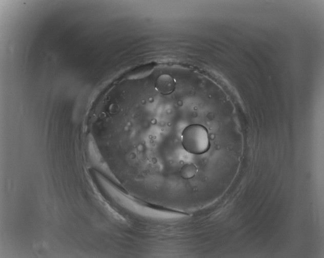 X0000082990721200702081833