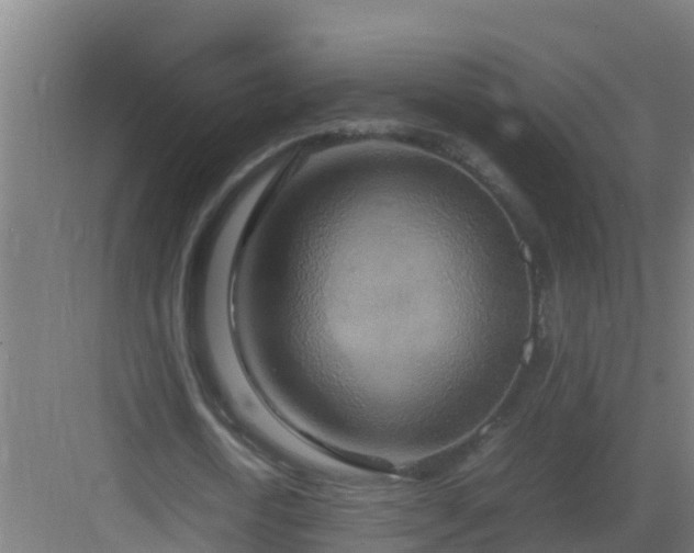 X0000082990722200702081833