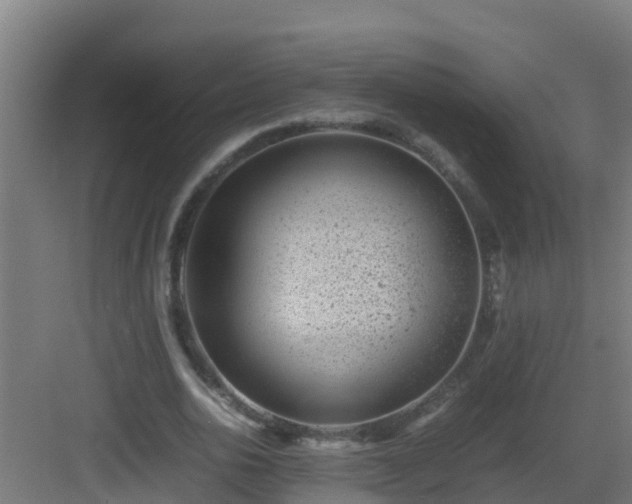 X0000082990726200702081834