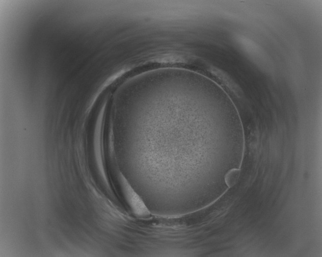 X0000082990727200702081834