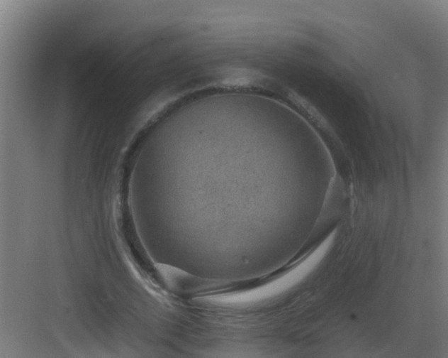 X0000082990728200702081834