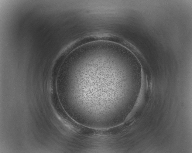 X0000082990732200702081834