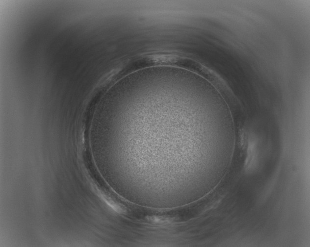 X0000082990733200702081834