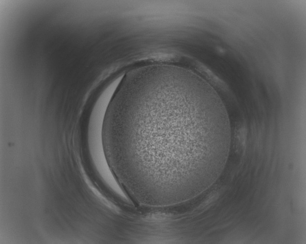 X0000082990734200702081834