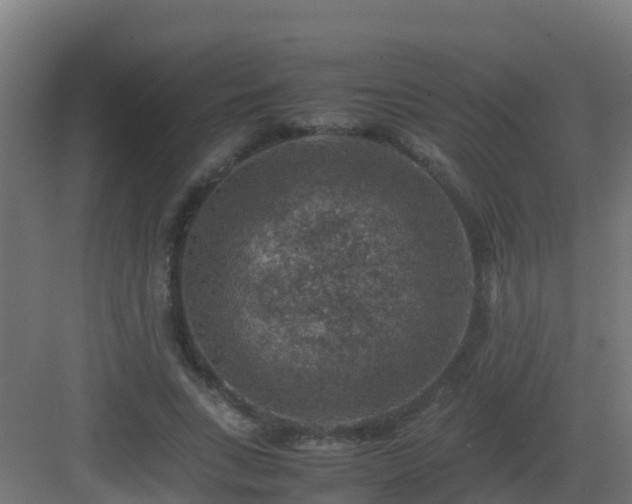 X0000082990735200702081834