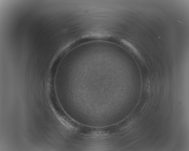 X0000082990736200702081834