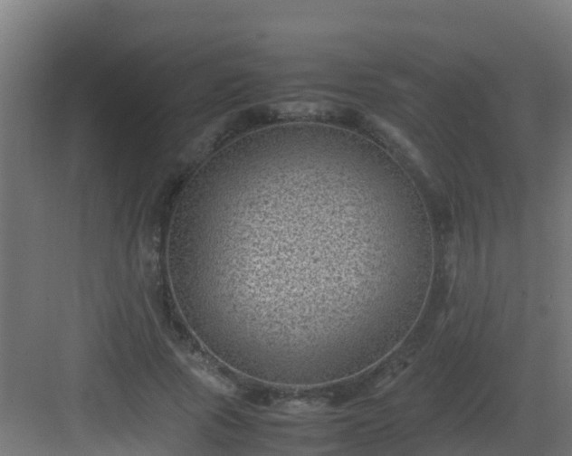 X0000082990737200702081834