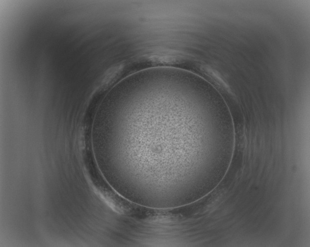 X0000082990738200702081834