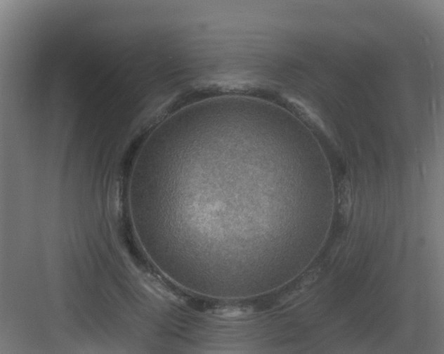 X0000082990740200702081834