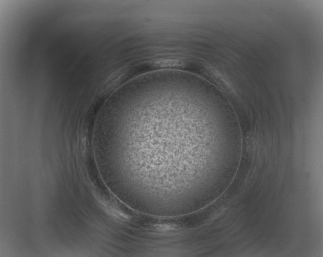 X0000082990741200702081834