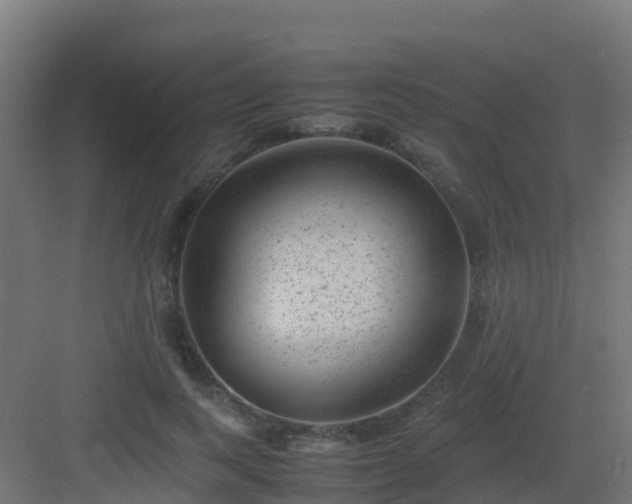 X0000082990743200702081834