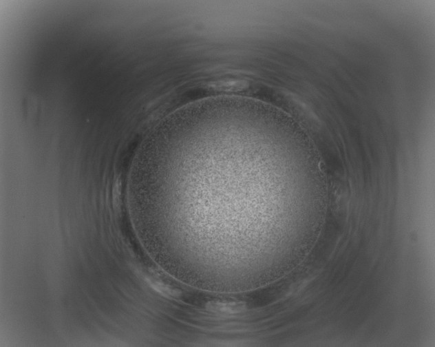 X0000082990745200702081834