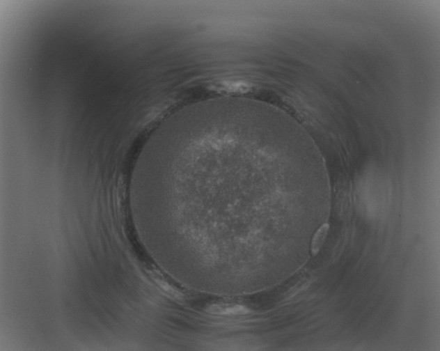 X0000082990747200702081834