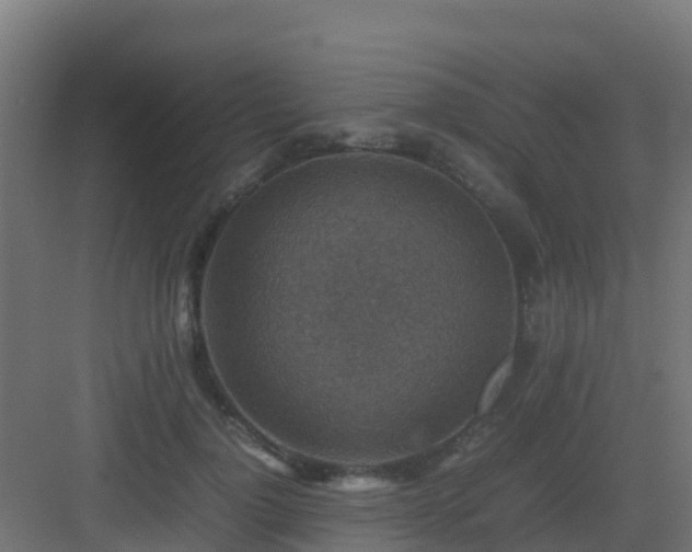 X0000082990748200702081834