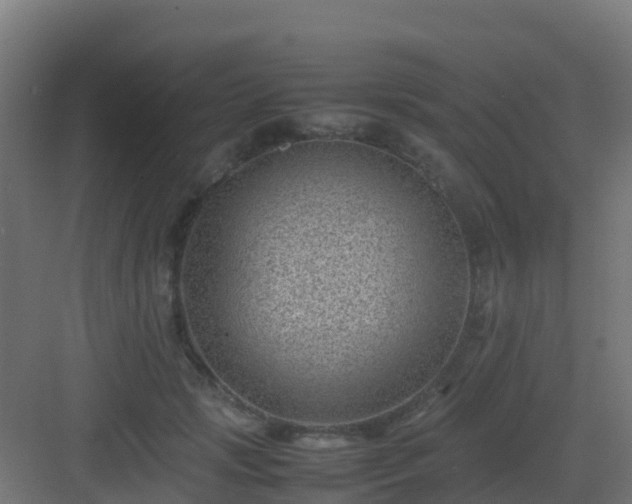 X0000082990749200702081834