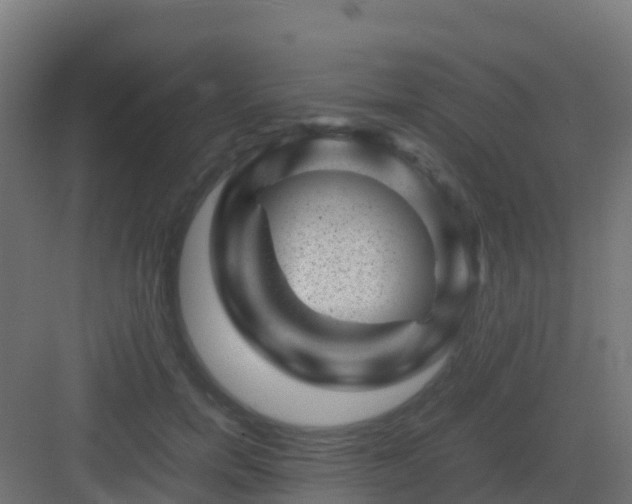 X0000082990750200702081834