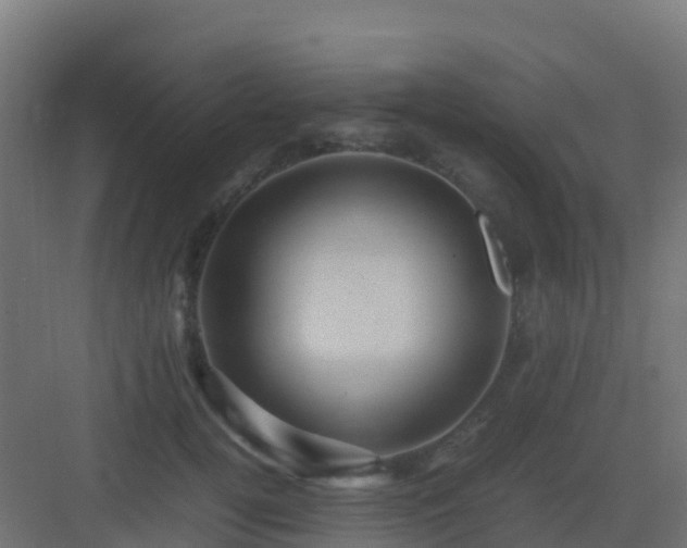 X0000082990752200702081834