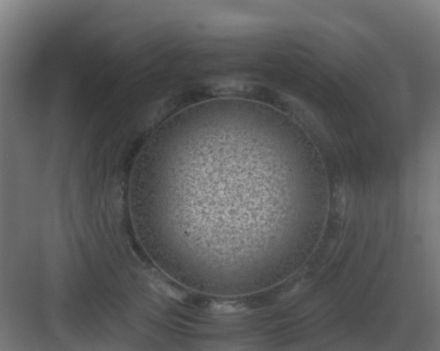 X0000082990753200702081834