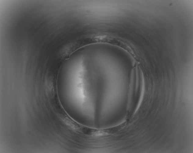 X0000082990754200702081834