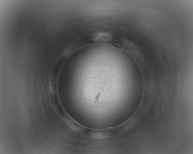 X0000082990755200702081834