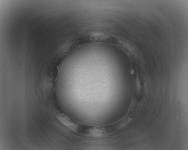 X0000082990756200702081834