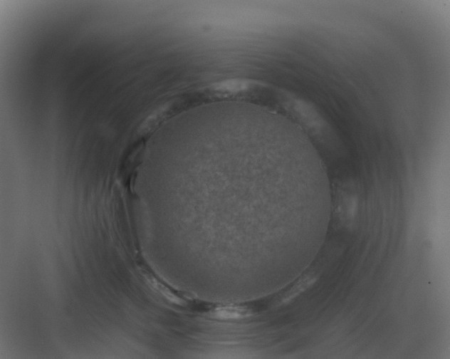 X0000082990758200702081834