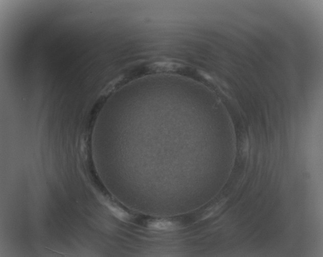 X0000082990759200702081834